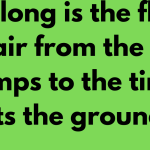 How long is the flea in the air from the time it jumps to the time it hits the ground?