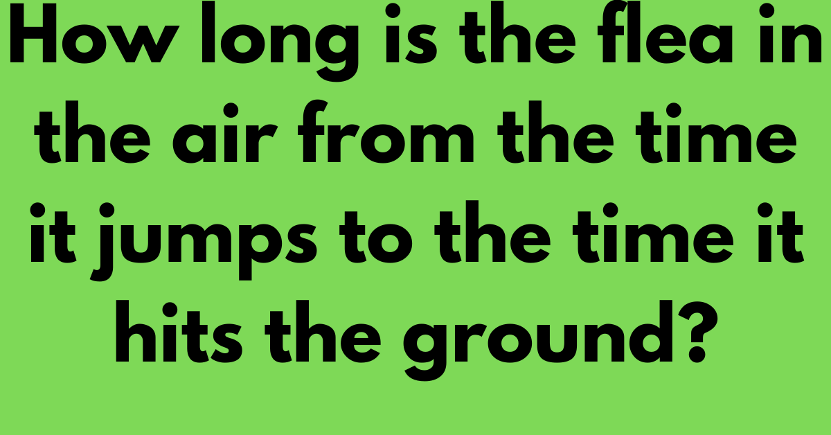How long is the flea in the air from the time it jumps to the time it hits the ground?