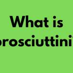 What is prosciuttini?