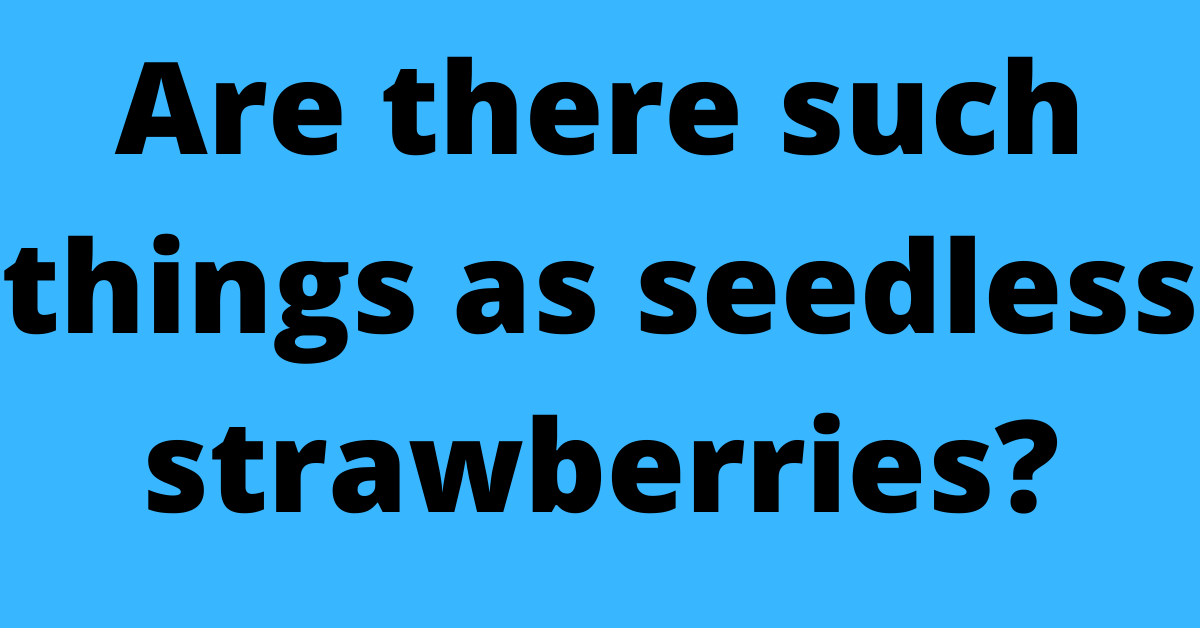 Are there such things as seedless strawberries?
