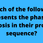 Which of the following represents the phases of mitosis in their proper sequence?