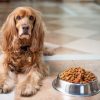 6 Things Your Vet Wants You to Know About Dog Food